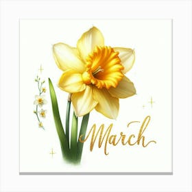 Daffodil - March Birth Flower Canvas Print