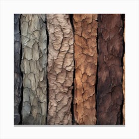 Tree Bark Texture 2 Canvas Print