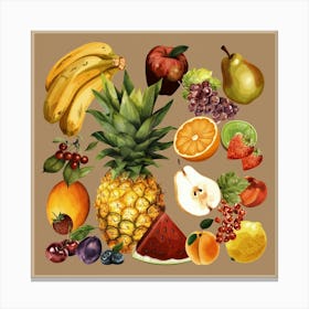 Fruits Botanical Art Canvas Print