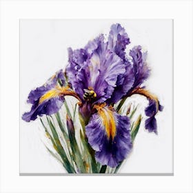 Iris 3 Canvas Print