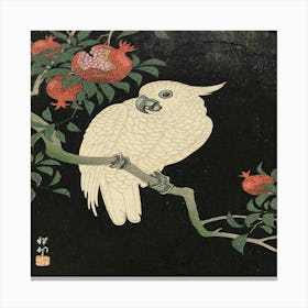 Cockatoo Canvas Print