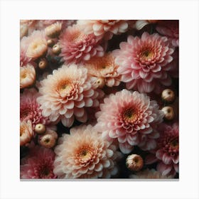Chrysanthemums flowers 2 Canvas Print