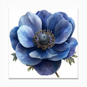 Blue Anemone Flower 5 Canvas Print