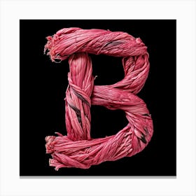 Letter B 11 Canvas Print