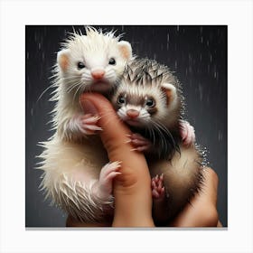 Ferrets In The Rain 4 Canvas Print