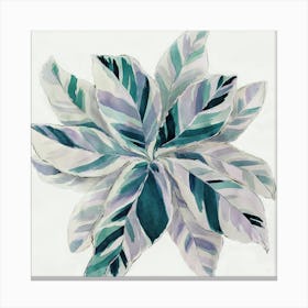Watercolor painting of turquoise leaves Canvas Print