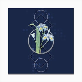 Vintage Butterfly Flower Iris Fimbriata Botanical with Geometric Line Motif and Dot Pattern n.0205 Canvas Print