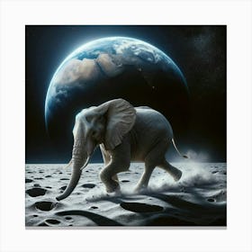 An Elephant On The Moon Canvas Print