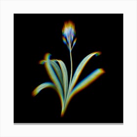 Prism Shift Spanish Bluebell Botanical Illustration on Black n.0389 Canvas Print