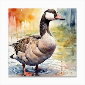 Geese In Water Canvas Print