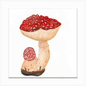 Fly Agaric Watercolor Canvas Print