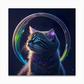 Cat Galaxy (59) Canvas Print