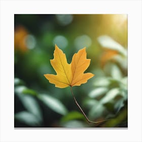 Autumn Leaf Isolated On White 1 Canvas Print