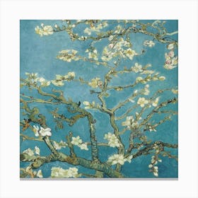 Blossoming Almond Tree 5 Canvas Print