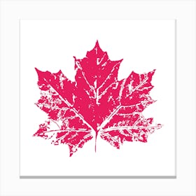 Pink Maple Leaf Canvas Print