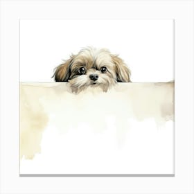 Shih Tzu Dog 3 Canvas Print