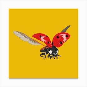 Ladybird Canvas Print