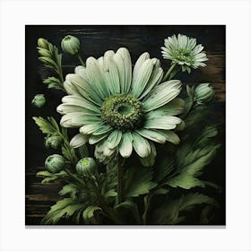 Daisy 3 Canvas Print