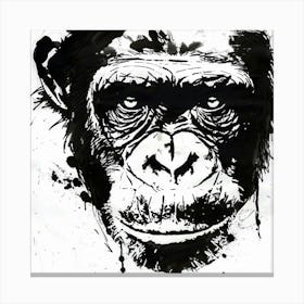 Chimpanzee Face Canvas Print