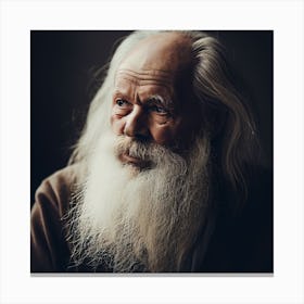 Portrait Of An Old Man 5 Canvas Print