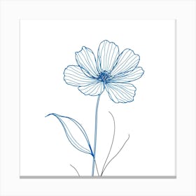 Cosmos Flower 9 Canvas Print