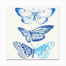 Blue Butterflies 1 Canvas Print