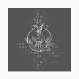 Vintage Daylily Botanical with Line Motif and Dot Pattern in Ghost Gray n.0073 Canvas Print
