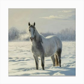 Horse In Snow 1 Canvas Print