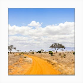 Road In The Savannah Canvas Print