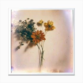 Polaroid Canvas Print