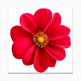 Red Dahlia Flower Canvas Print