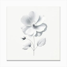 White Flower 10 Canvas Print