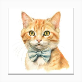 Minuet Cat Portrait 1 Canvas Print