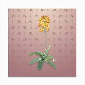 Vintage Sun Star Botanical on Dusty Pink Pattern n.0922 Canvas Print
