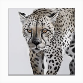 Cheetah 2 Canvas Print