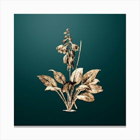 Gold Botanical Daylily on Dark Teal n.2596 Canvas Print