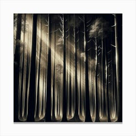 Dark Forest 26 Canvas Print