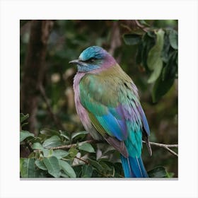 Lilac-Breasted Roller Canvas Print