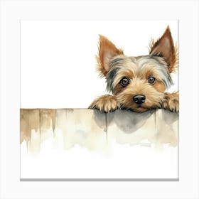 Silky Terrier 3 Canvas Print