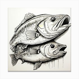 Two Bass Fish Canvas Print