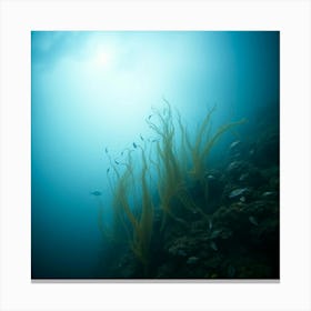 Great Barrier reef 7 1 Canvas Print