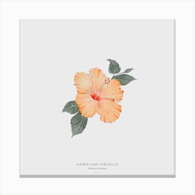Hawaiian Hibiscus Off White Square Canvas Print