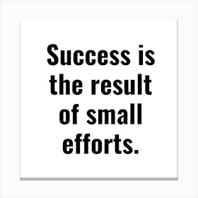 Success Is The Result Of Small Efforts Canvas Print