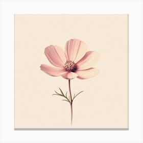 Cosmos Flower Canvas Print