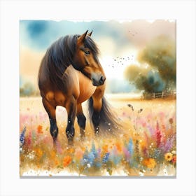 Horse In A Field Canvas Print