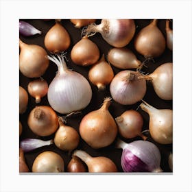 Onion Bunches 2 Canvas Print
