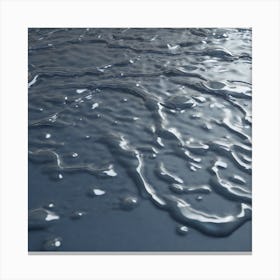 Water Droplet 5 Canvas Print