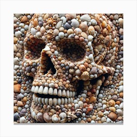 Skull & Shell Canvas Print