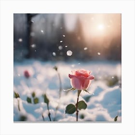 Rose In The Snow Canvas Print