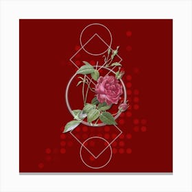 Vintage Blood Red Bengal Rose Botanical with Geometric Line Motif and Dot Pattern n.0003 Canvas Print